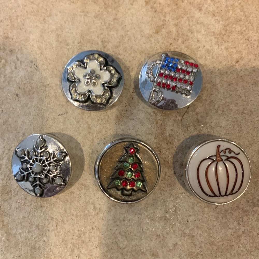 Ginger Snap Charms Standard Size